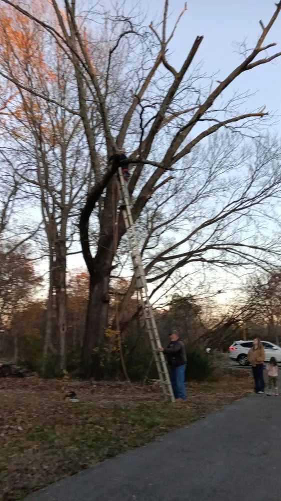 Top-rated landscape installation in Dickson, TN by K&L Landscaping & Tree Service