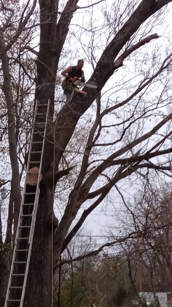 Custom outdoor landscaping experts serving Dickson, TN - K&L Landscaping & Tree Service