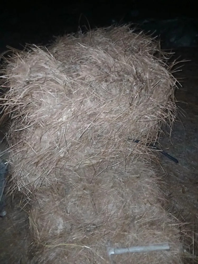 Local outdoor landscaping in Lumberton, MS - K&L Landscaping