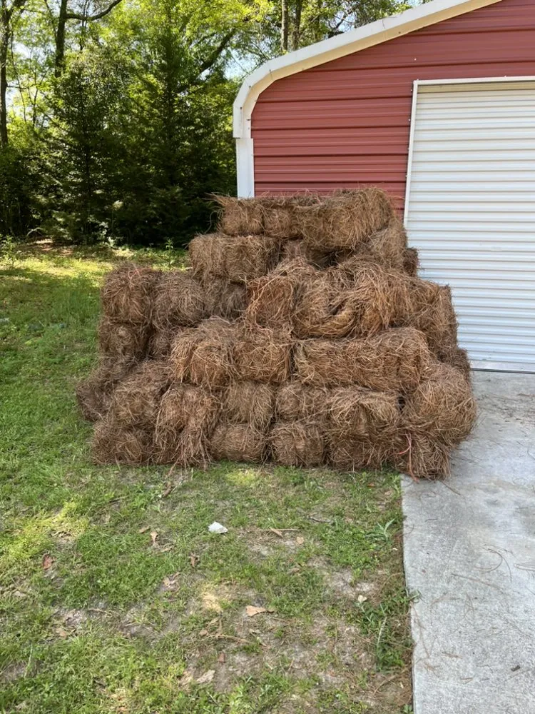 Trusted landscape design experts serving Byron, GA - K&L Lawn Care and Landscaping