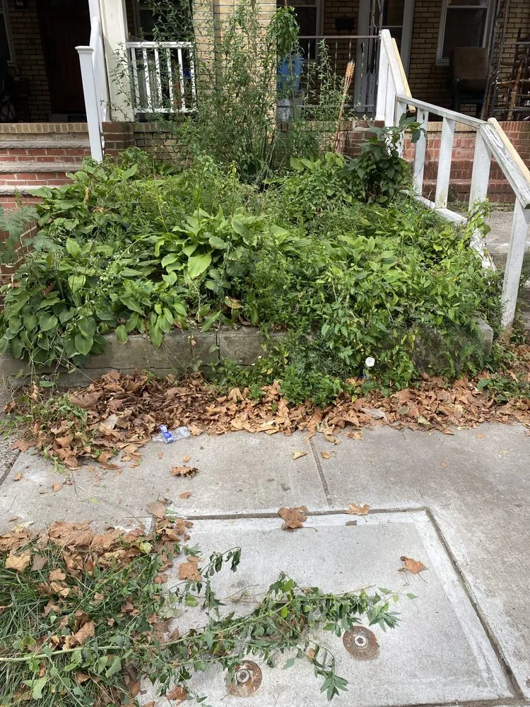 Top-rated landscape design for outdoor upgrades across Trenton, NJ - KL Lawn Maintenance