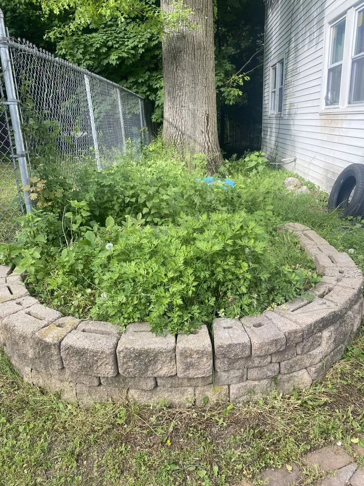 Top-rated landscape design with custom design in Trenton, NJ by KL Lawn Maintenance