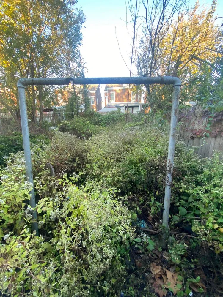 Reliable landscaping services for outdoor upgrades across Trenton, NJ - KL Lawn Maintenance