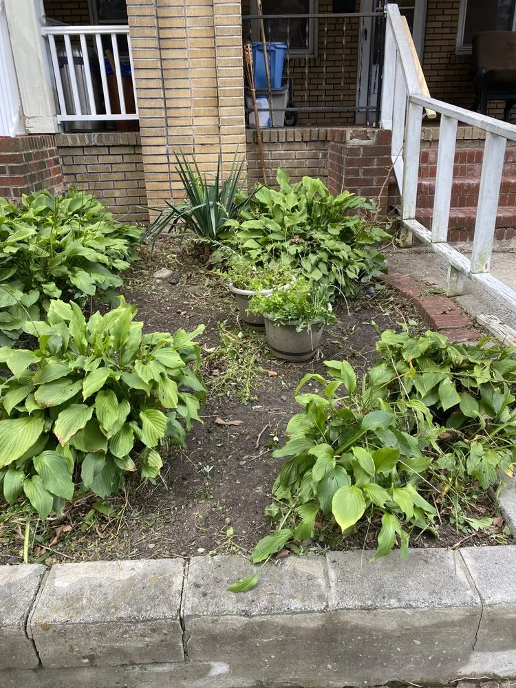 Top-rated yard maintenance near you in Trenton, NJ by KL Lawn Maintenance