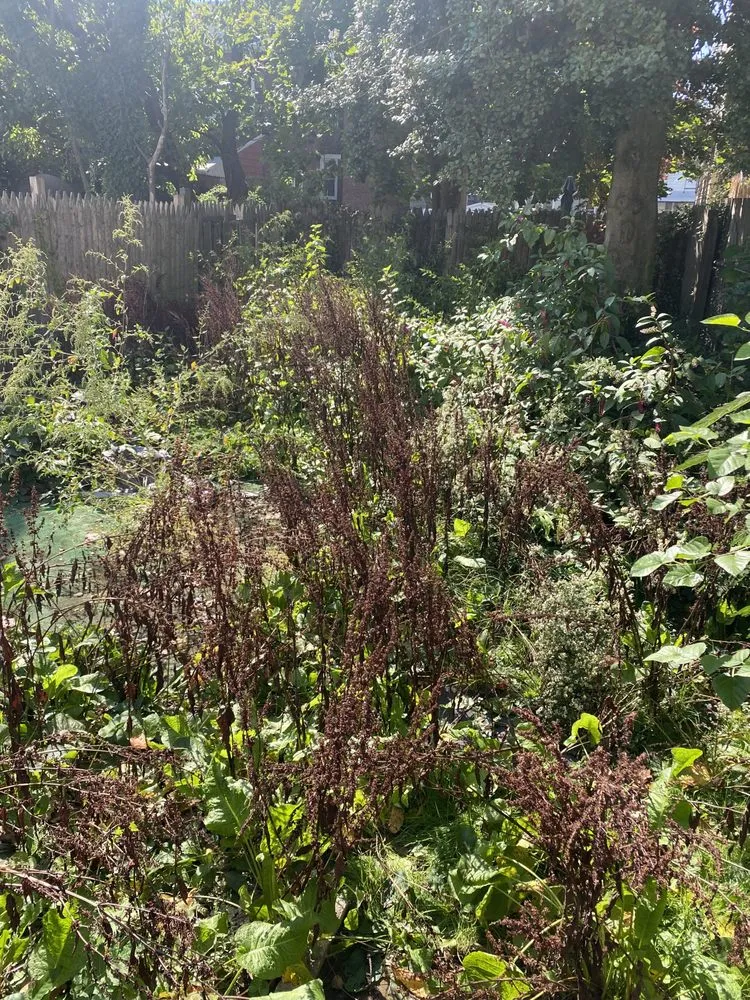 Local outdoor landscaping for year-round maintenance in Trenton, NJ by KL Lawn Maintenance