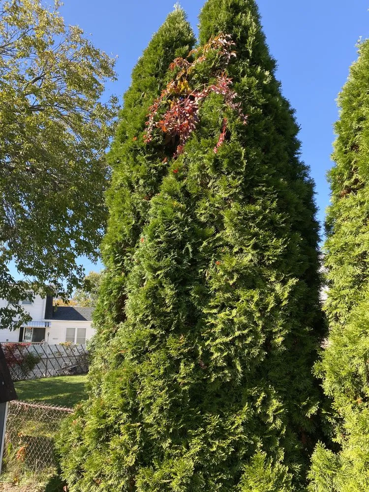 Top-rated outdoor landscaping experts serving Trenton, NJ - KL Lawn Maintenance