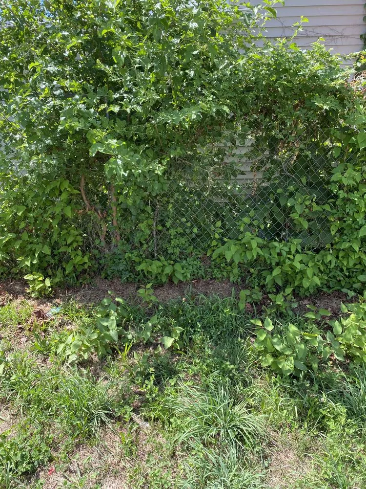 Reliable outdoor landscaping experts serving Trenton, NJ - KL Lawn Maintenance