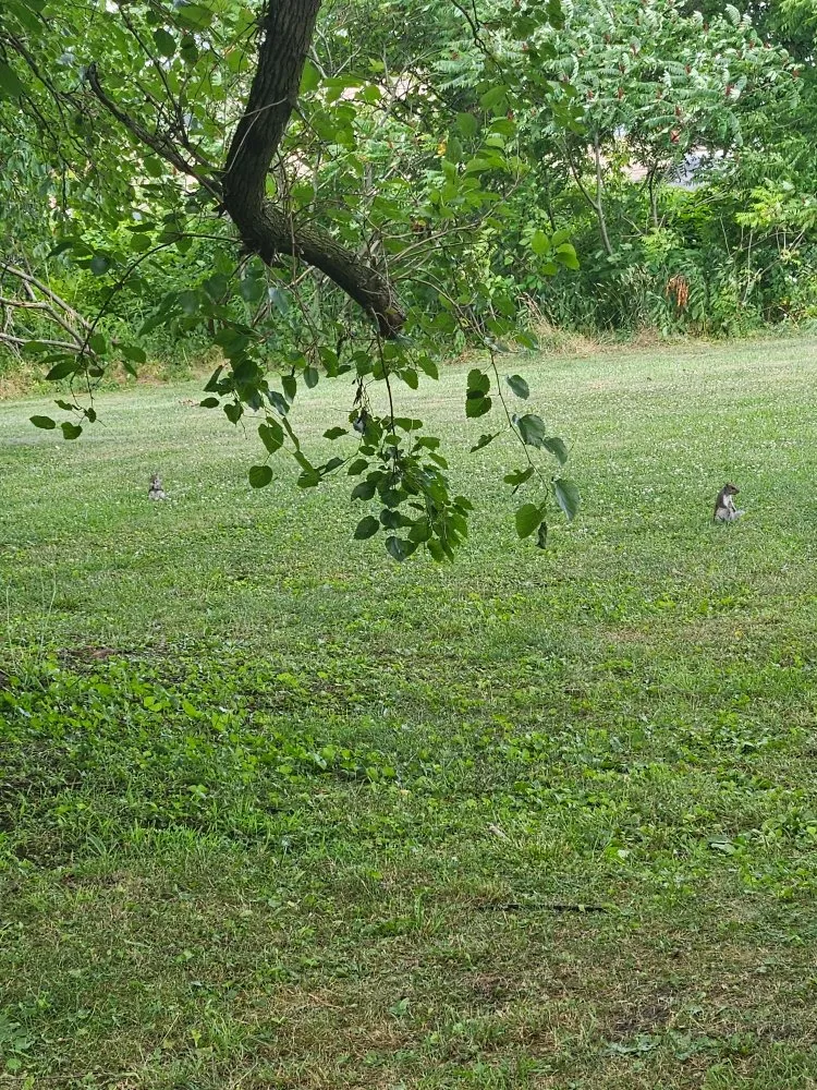 Professional landscape design experts serving Uniontown, PA - K&L Lawncare