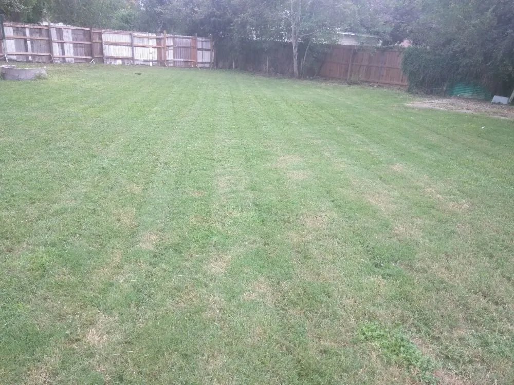 Professional yard maintenance in Corpus Christi, TX by K&L Mobile Services