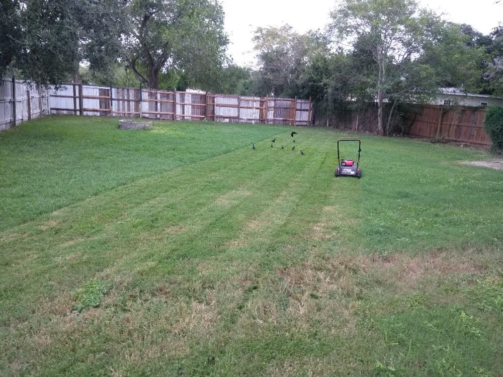 Professional yard maintenance experts serving Corpus Christi, TX - K&L Mobile Services