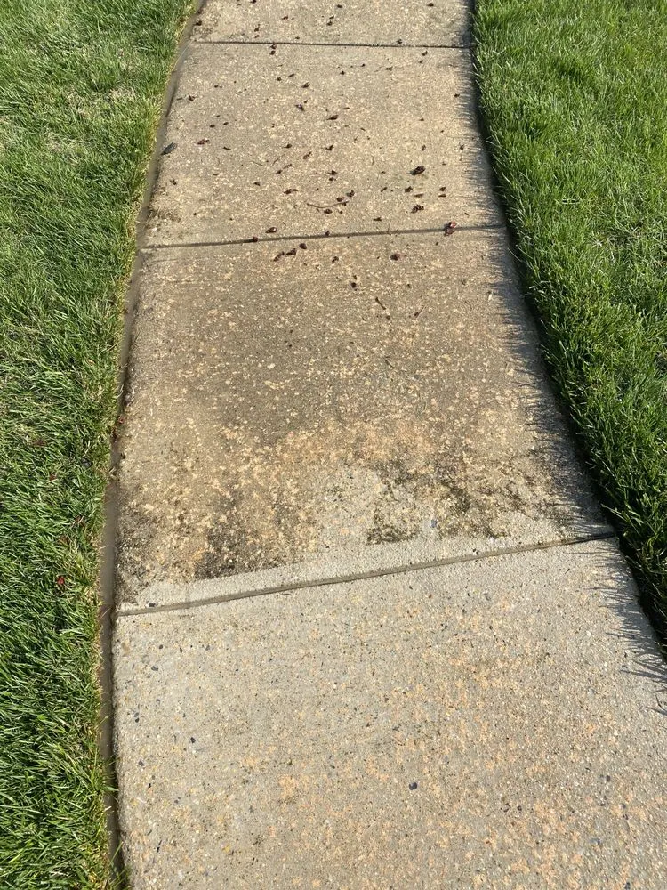 Top-rated outdoor landscaping in Marcus Hook, PA by K&L Property Maintenance