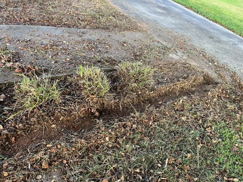 Professional yard maintenance in Lancaster, SC - KLA Lawn & Limb