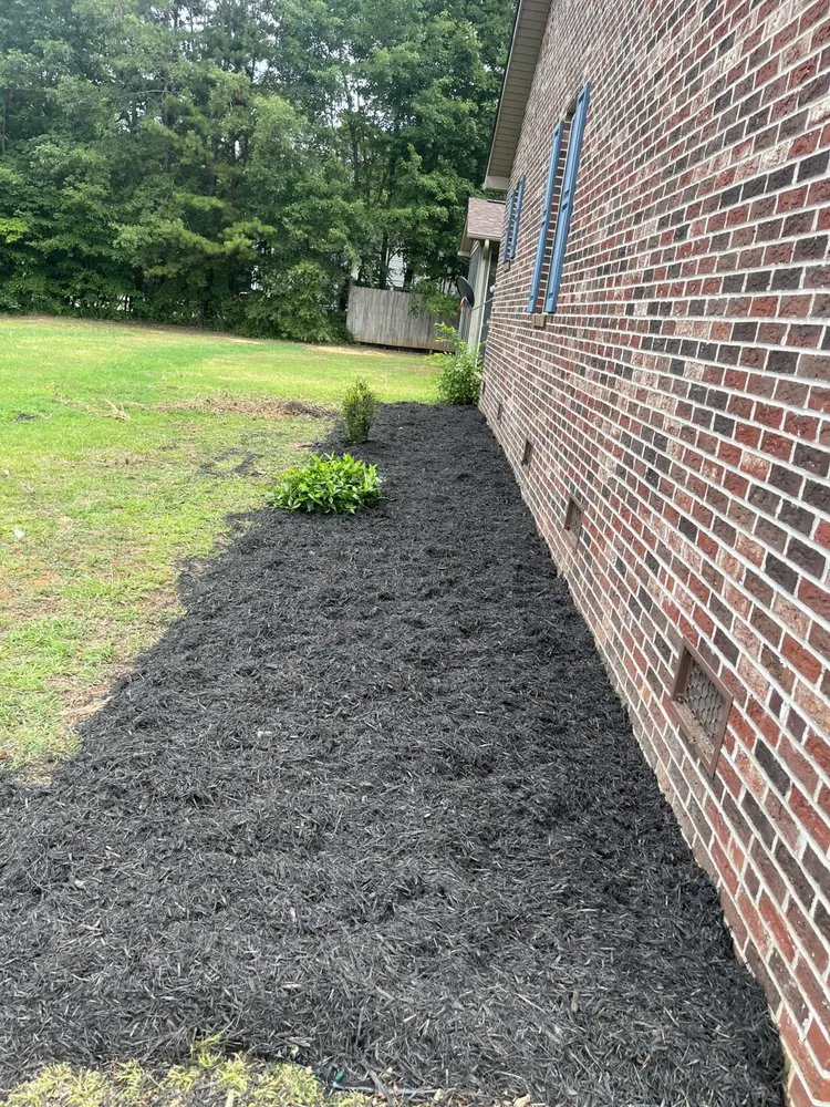 Reliable yard cleanup service for year-round maintenance across Lancaster, SC - KLA Lawn & Limb