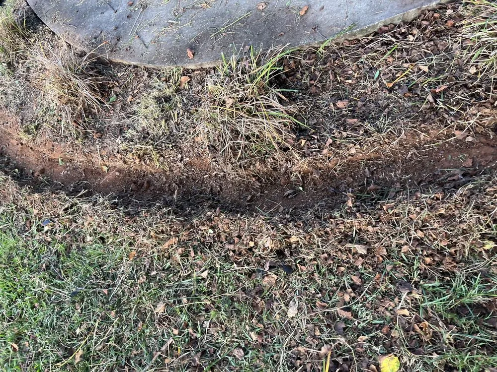 Local residential landscaping in Lancaster, SC - KLA Lawn & Limb