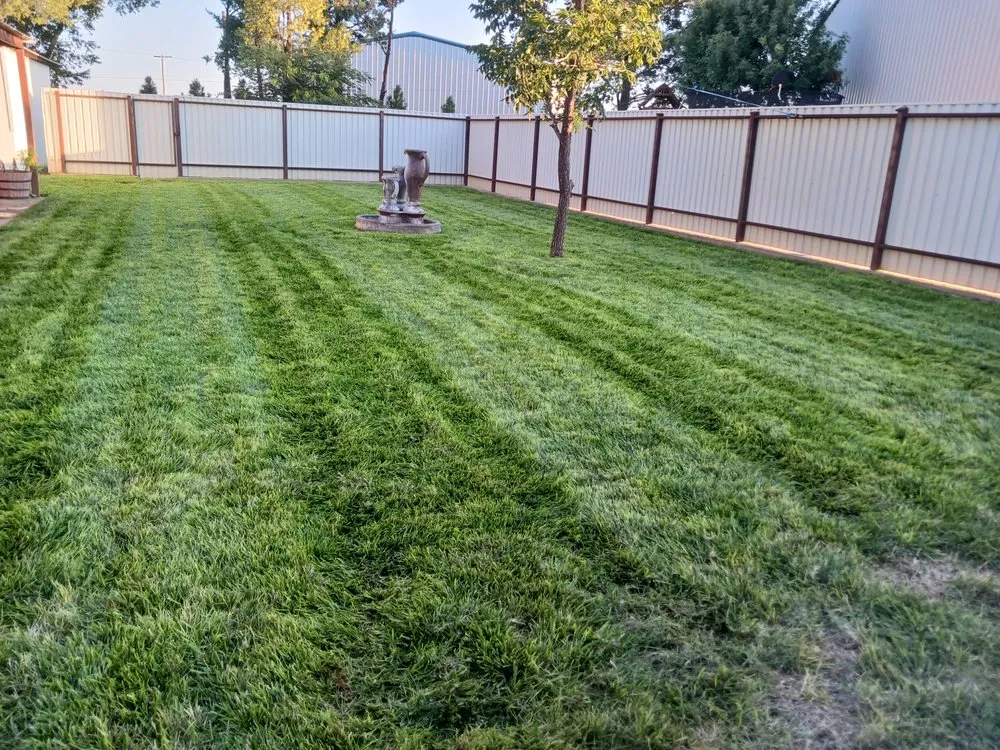 Trusted landscape installation for outdoor upgrades in Brownfield, TX by Klassens Lawn Care