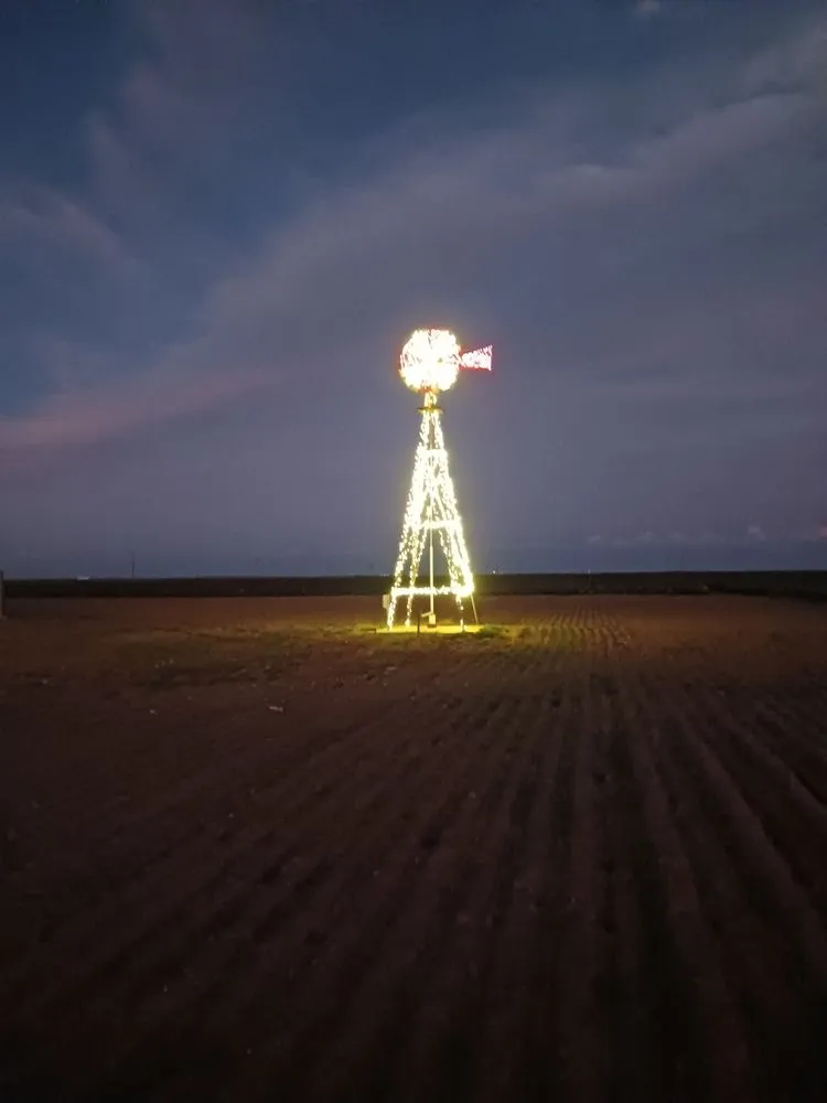 Expert yard cleanup service with custom design across Brownfield, TX - Klassens Lawn Care