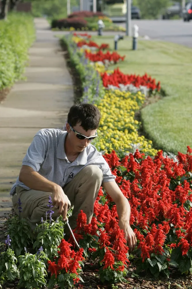 Reliable lawn mowing service in Lexington, KY by Klausing Group