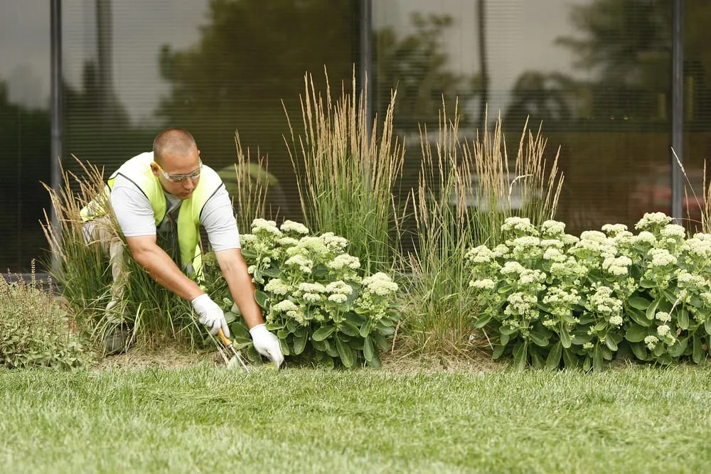 Expert yard cleanup service for outdoor upgrades in Lexington, KY by Klausing Group