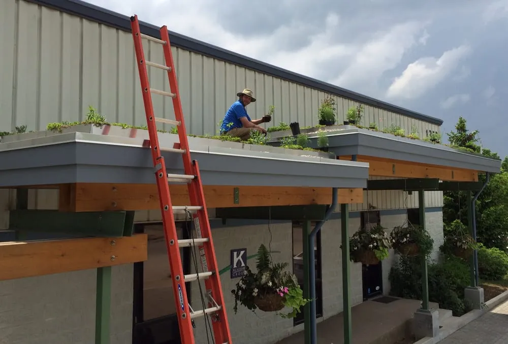 Professional lawn care service for beautiful yards in Lexington, KY by Klausing Group