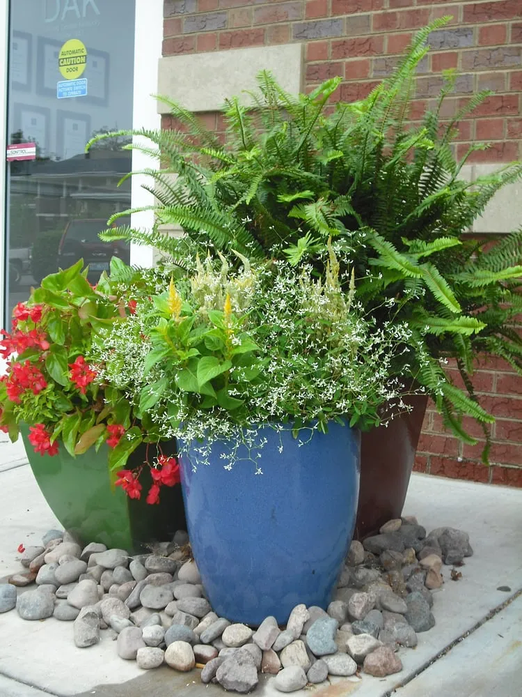 Local yard cleanup service for residential properties in Lexington, KY by Klausing Group