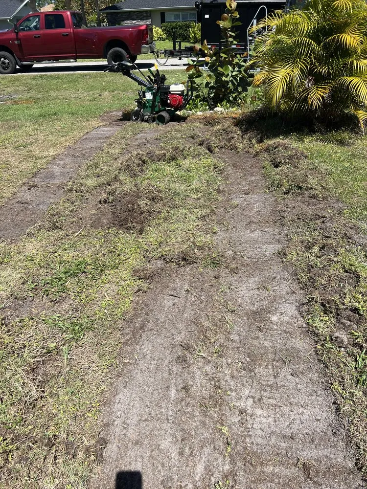 Trusted yard cleanup service in Port Charlotte, FL - Klc garden devices