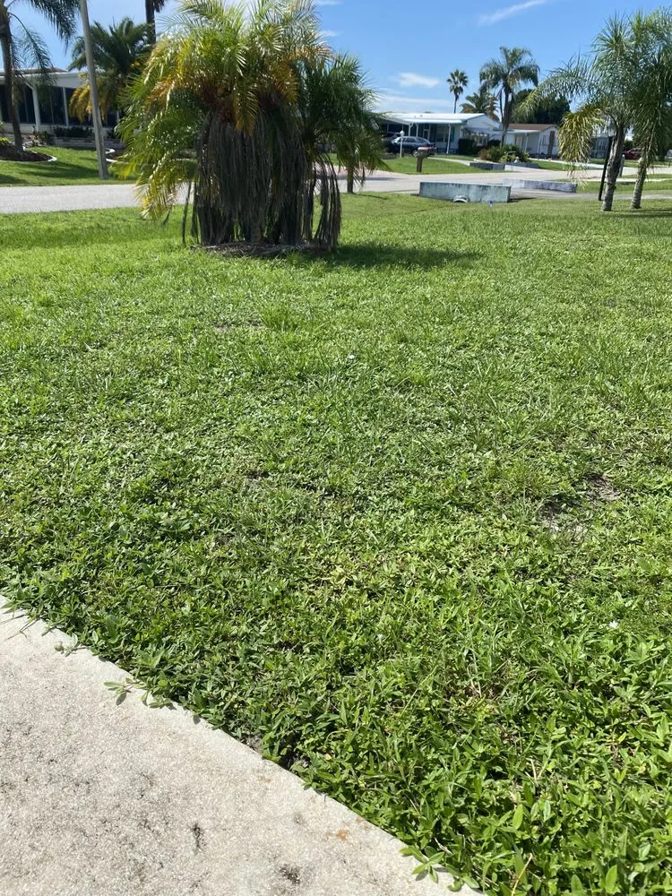 Local landscape installation in Port Charlotte, FL - Klc garden devices