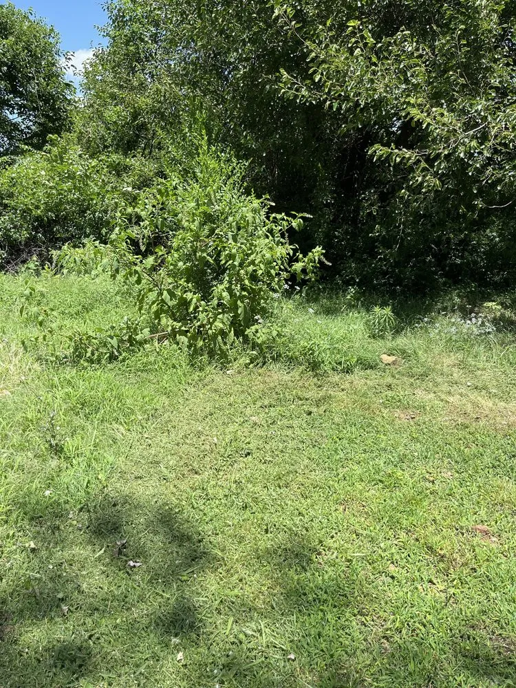 Professional outdoor landscaping in Vera, OK - KLC Landscaping And Tree Work