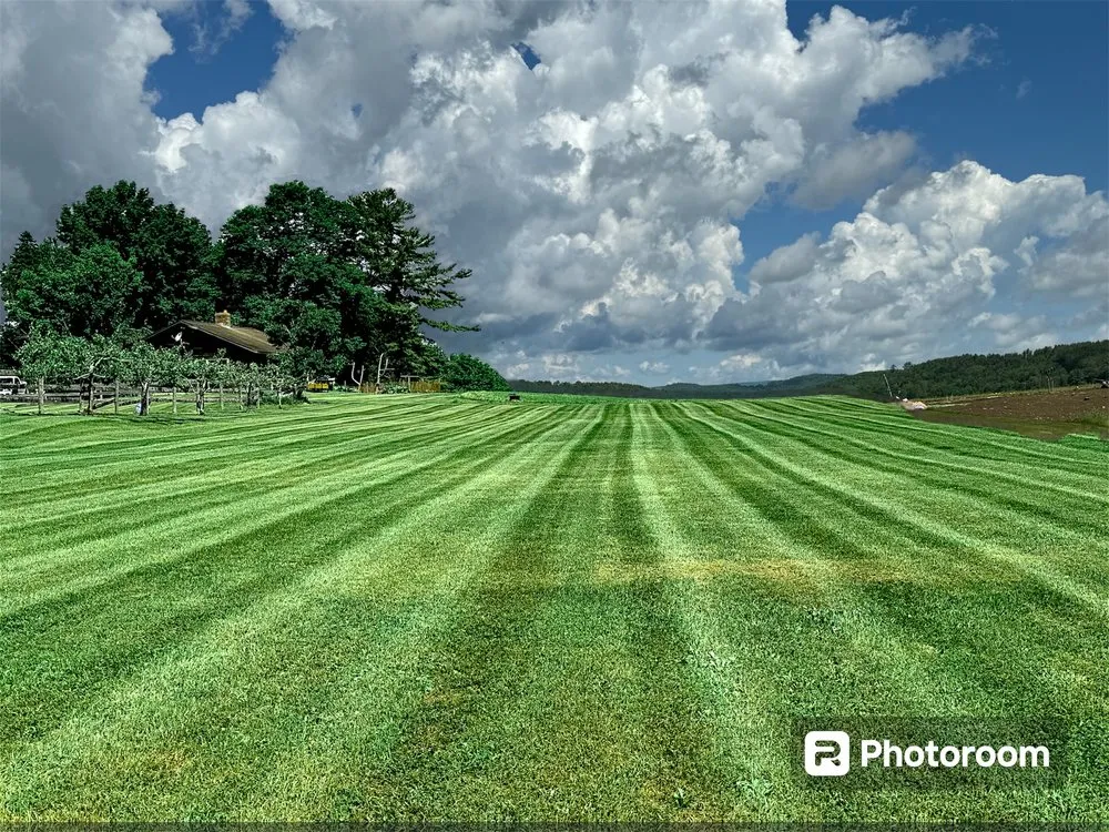 Custom lawn care service experts serving Barnet, VT - KLC Lawn & Garden