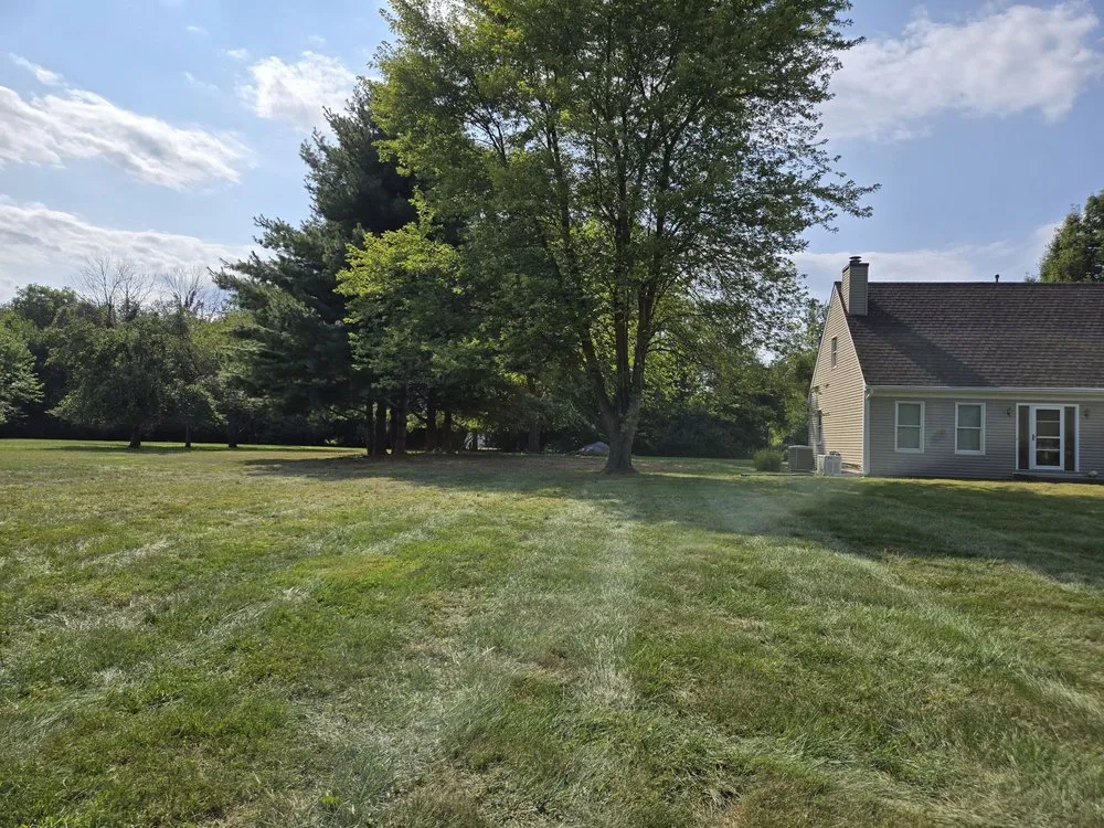 Reliable yard cleanup service with custom design in Sherman, IL by KLC Turf Pro & Tree Service