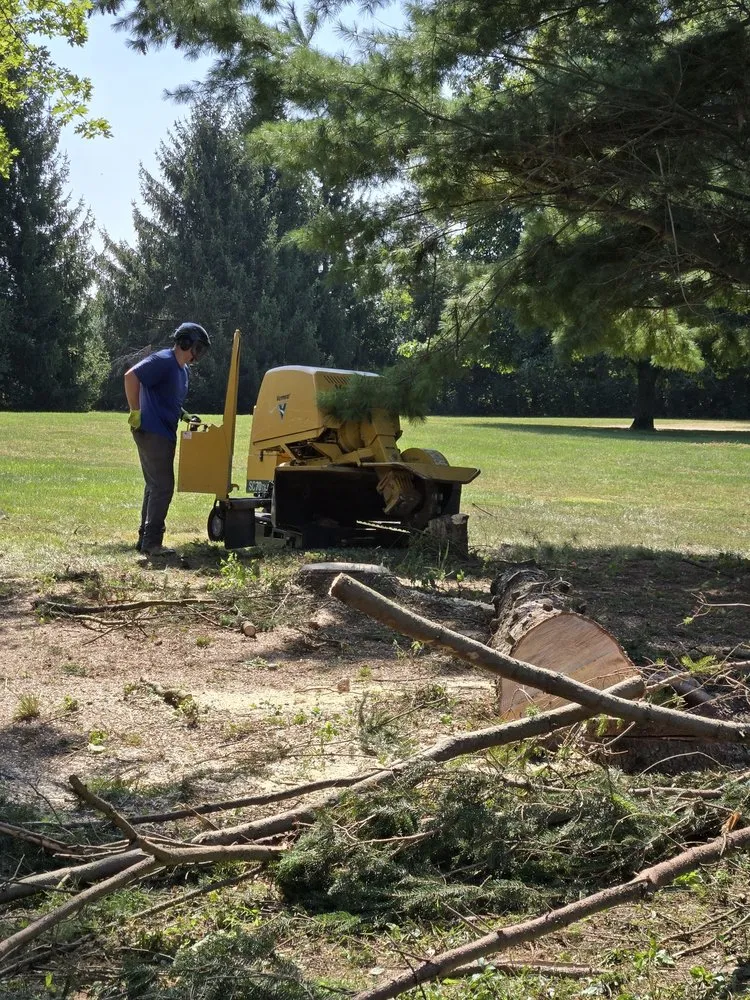 Professional landscape installation in Sherman, IL - KLC Turf Pro & Tree Service