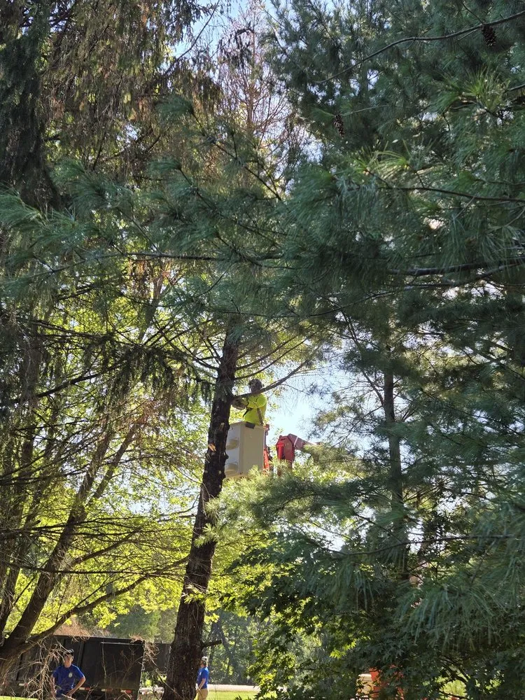 Custom yard maintenance for outdoor upgrades across Sherman, IL - KLC Turf Pro & Tree Service