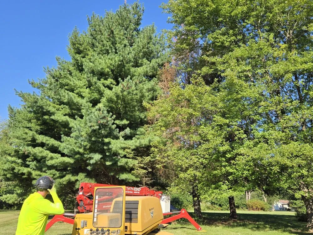 Custom lawn care service in Sherman, IL by KLC Turf Pro & Tree Service