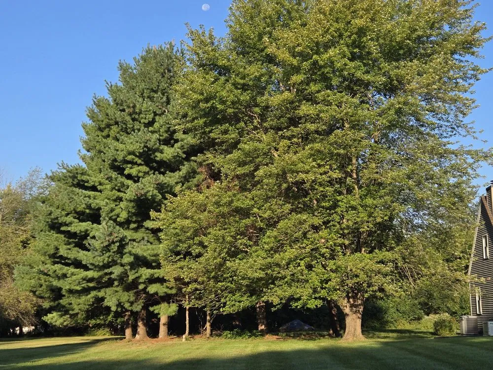 Affordable garden landscaping experts serving Sherman, IL - KLC Turf Pro & Tree Service