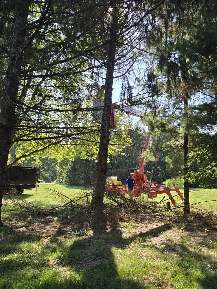 Expert landscape design in Sherman, IL - KLC Turf Pro & Tree Service