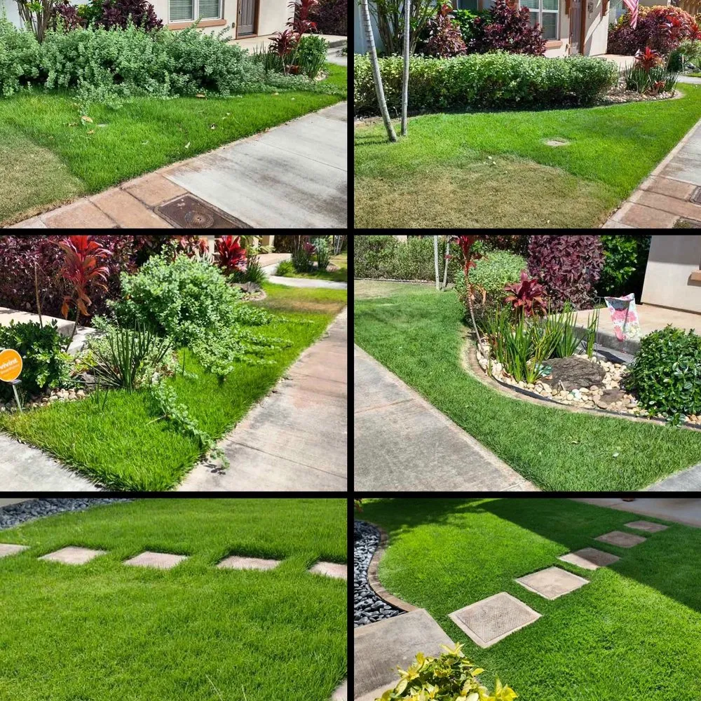 Affordable outdoor landscaping experts serving Kailua, HI - Kōlea Lawn & Yard Services