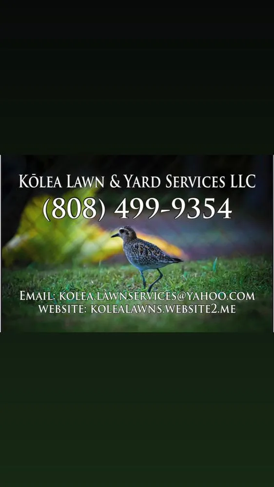 Top-rated landscaping services near you across Kailua, HI - Kōlea Lawn & Yard Services