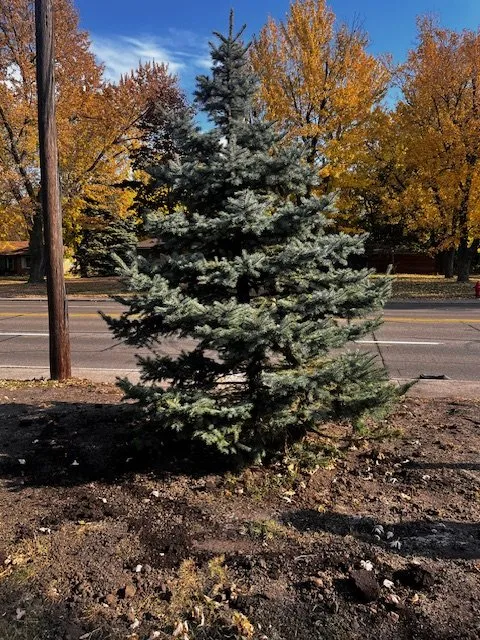 Custom garden landscaping in Jordan, MN - KLEAN Companies