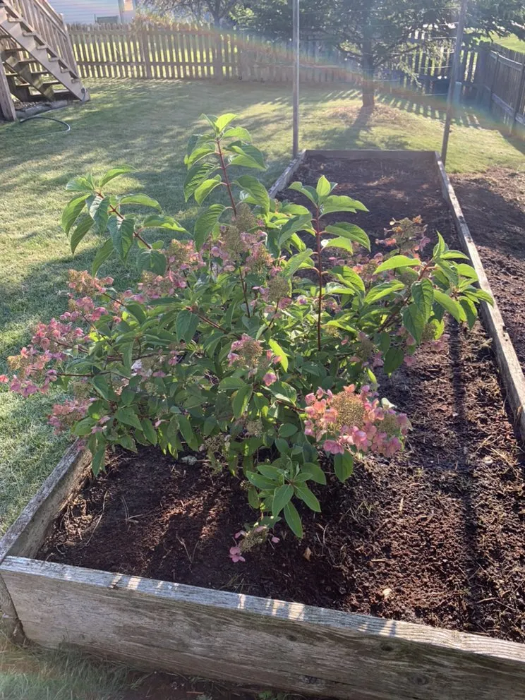 Affordable landscaping services experts serving Madison, WI - Klean Cut Lawn Care Landscaping