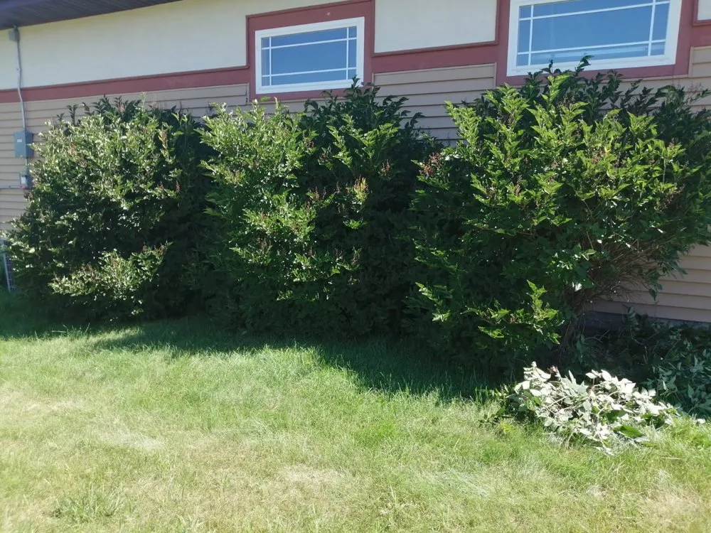 Custom lawn care service for year-round maintenance across Madison, WI - Klean Cut Lawn Care Landscaping