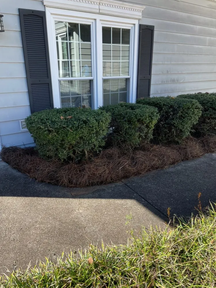 Professional lawn care service in Mableton, GA by Klean Cutz Landscape and Install