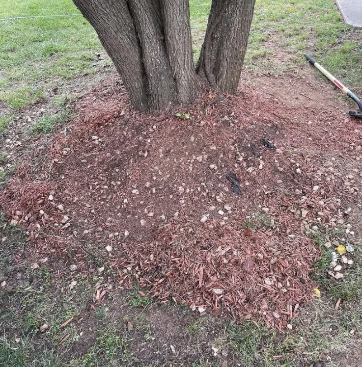 Affordable landscape installation experts serving Mableton, GA - Klean Cutz Landscape and Install