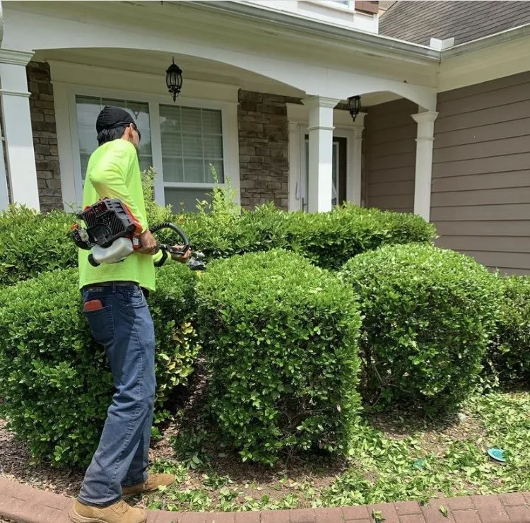 Local landscaping services for year-round maintenance in Mableton, GA by Klean Cutz Landscape and Install