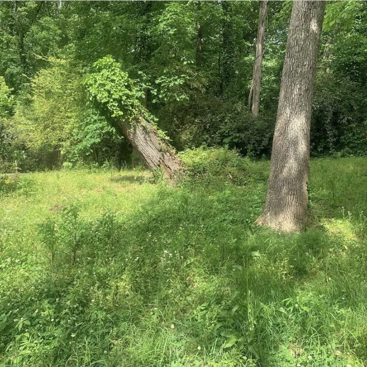 Top-rated lawn mowing service experts serving Mableton, GA - Klean Cutz Landscape and Install