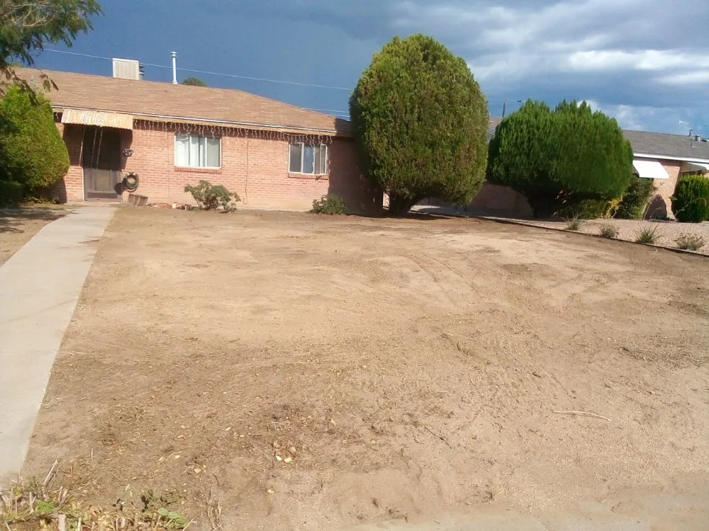 Affordable lawn care service with custom design across Albuquerque, NM - Klean It Up Services