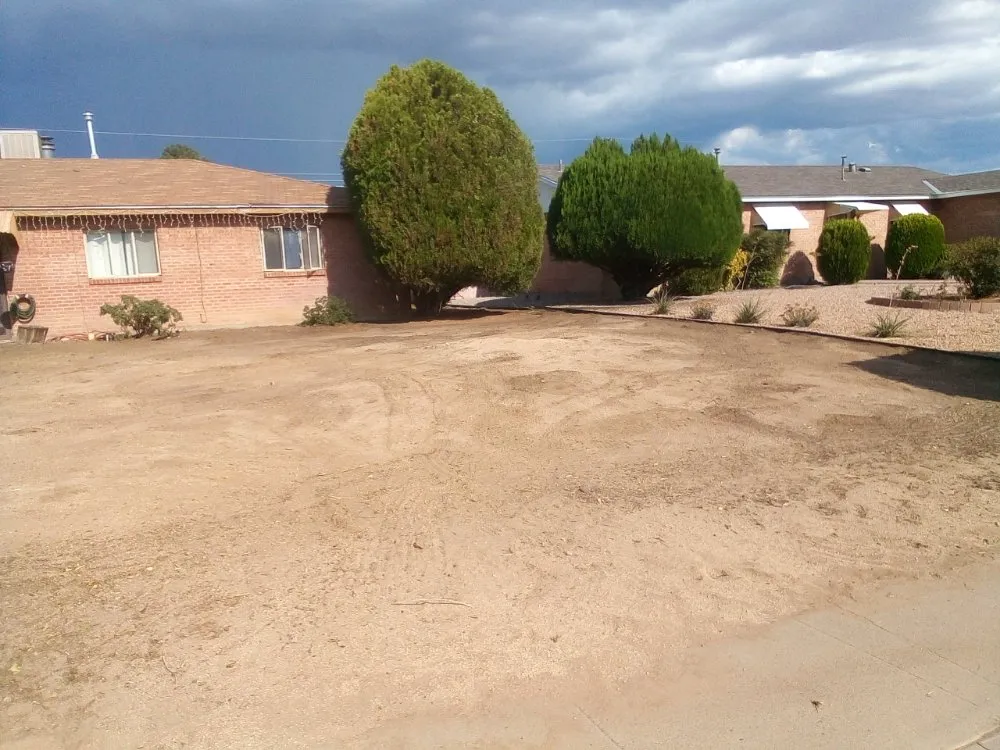 Custom lawn care service for residential properties in Albuquerque, NM by Klean It Up Services