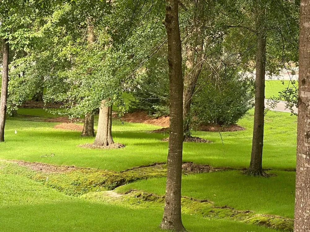Top-rated landscape design experts serving Purvis, MS - Klean Kut Landscape & Construction