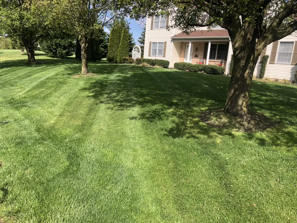 Custom landscape design in Alloway, NJ by Klean Kut Landscaping