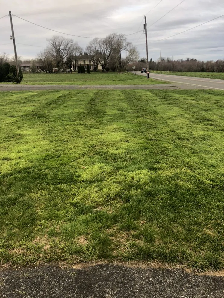 Custom landscape design in Alloway, NJ by Klean Kut Landscaping