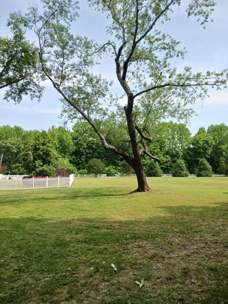 Local landscaping services experts serving Cobbs Creek, VA - Klean Kutts
