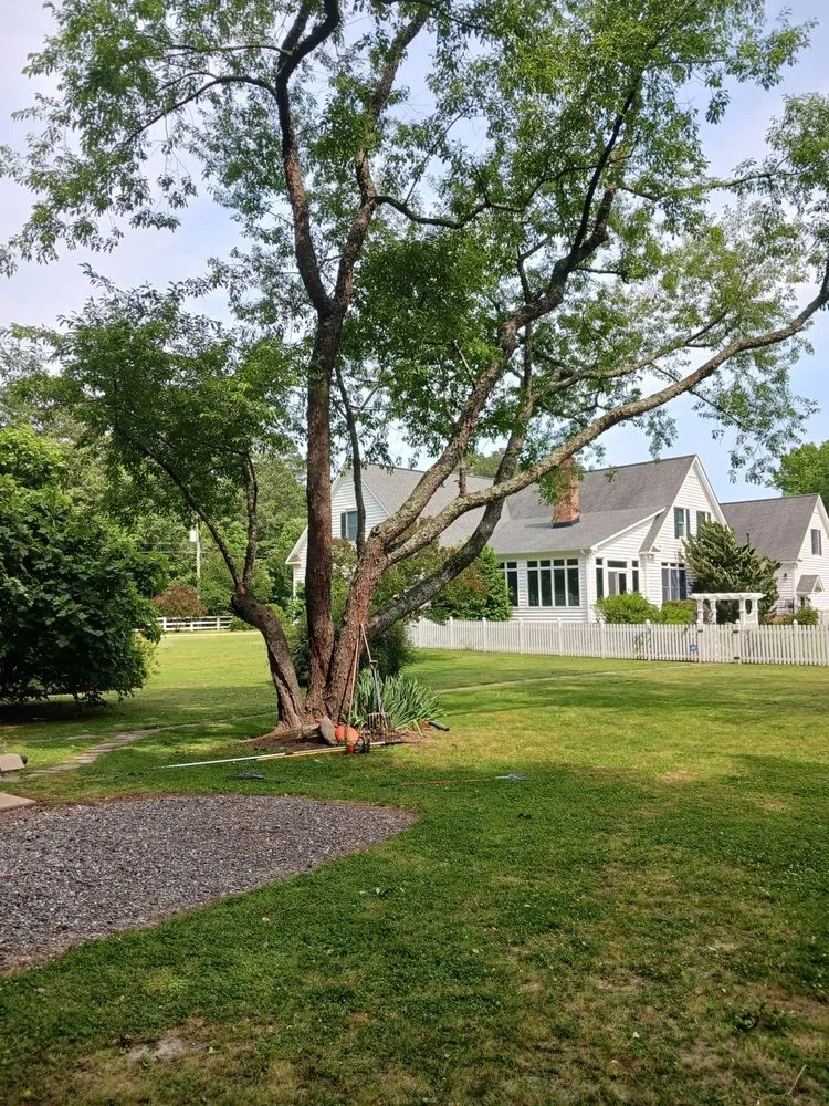 Trusted landscaping services for outdoor upgrades in Cobbs Creek, VA by Klean Kutts
